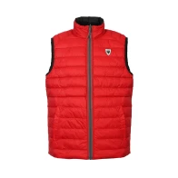Wendbares Daunengilet 1902